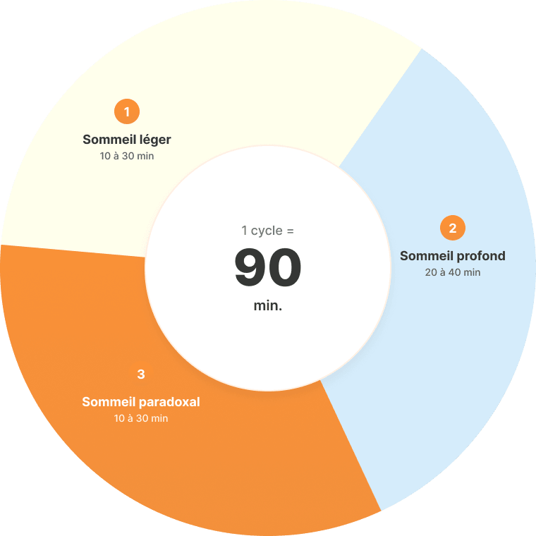 Schéma sommeil 2