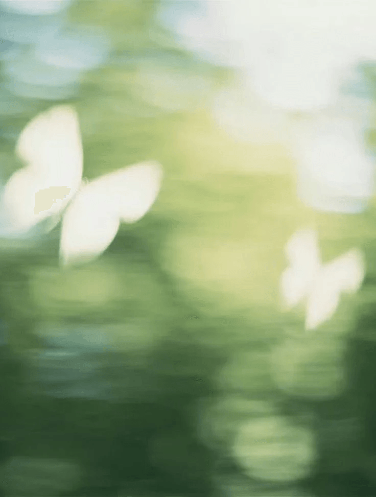 Be-Life – Newsletter